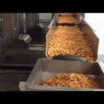 自动塑料袋米豆种子包装机械